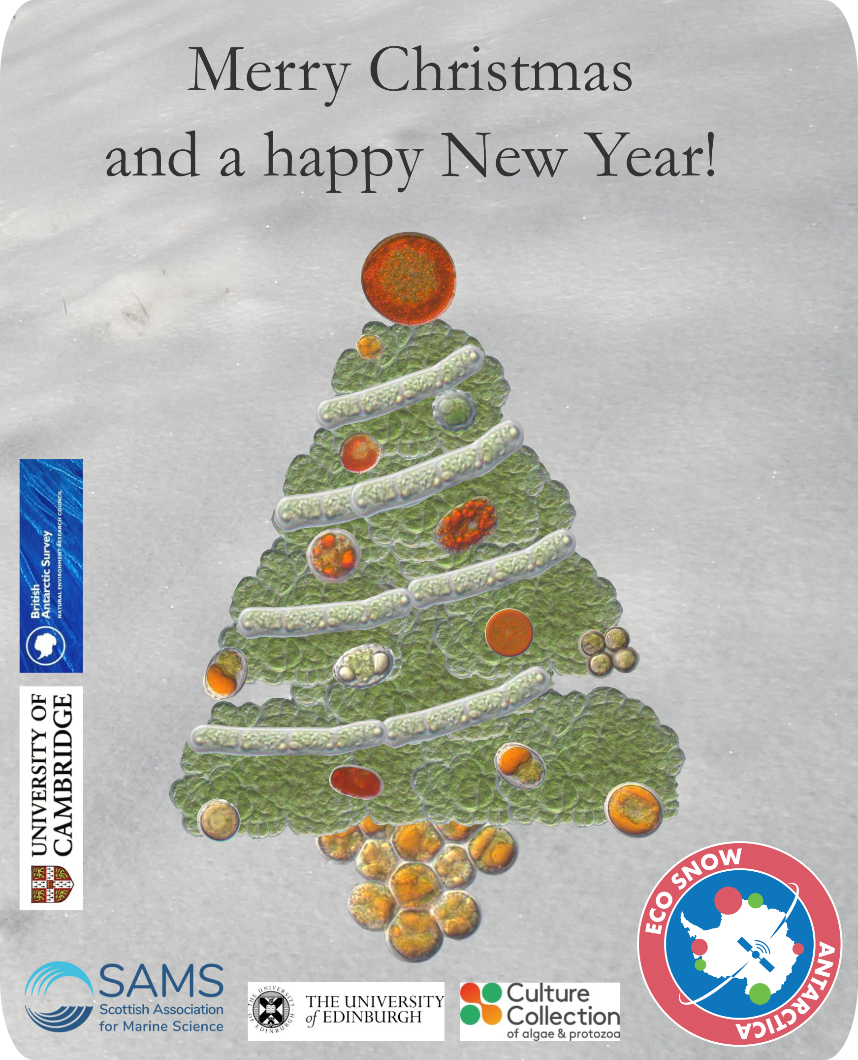 Eco Snow Christmas Card